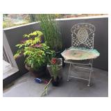 Wrought Iron Chair and Bird Bath (Plants not for sale)