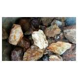 Variety of Rocks (jasper, obsidian, petrified wood, and more)