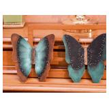 Butterfly Decor