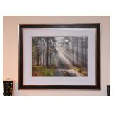 Framed Art Photography
