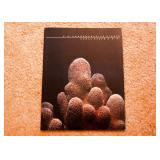 Commemorative Stamps Collection 