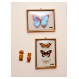 Mounted Butterfly Taxidermy / Wall Hangings
