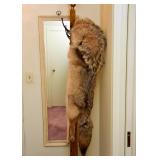 Coyote Pelt Hat / Hood