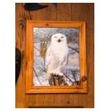 Framed Owl Photograph