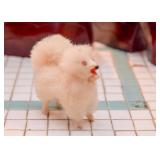 Vintage Dog Figurine / Toy