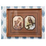 Framed Owls Print