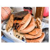Baseball Gloves / Mitts, Sporting Equipment