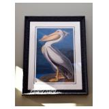 Large Framed Audubon Prints