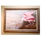 Large Framed Audubon Prints