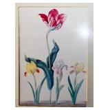 Framed Floral Prints
