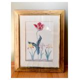 Framed Floral Prints