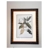 Framed Floral Prints