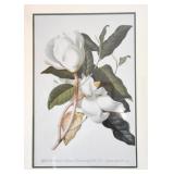 Framed Floral Prints