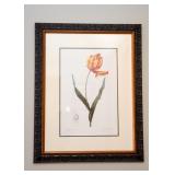 Framed Floral Prints