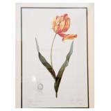 Framed Floral Prints