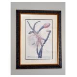 Framed Floral Prints