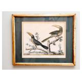 Antique Framed Prints