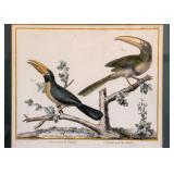 Antique Framed Prints