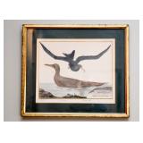 Antique Framed Prints