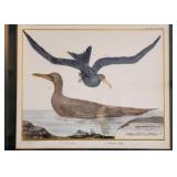 Antique Framed Prints