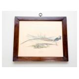 Antique Framed Prints