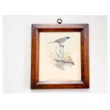 Antique Framed Prints