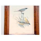 Antique Framed Prints