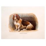 Vintage Framed Dog Prints