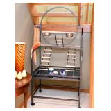 BUY IT NOW! Lot #314, Large Pet Bird Exercise Playland Perch, $80