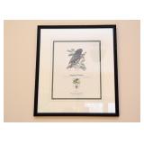 Framed Limited Edition World Wildlife Fund Prints, Signed & Numbered