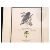 Framed Limited Edition World Wildlife Fund Prints, Signed & Numbered