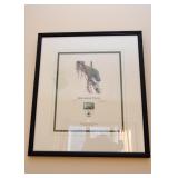 Framed Limited Edition World Wildlife Fund Prints, Signed & Numbered