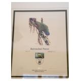 Framed Limited Edition World Wildlife Fund Prints, Signed & Numbered