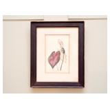 Antique Framed Botanical Print