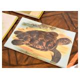 Artist Made Placemats