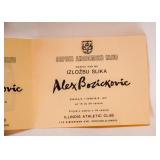 Framed Original Artwork - Painting by Alex Bozickovic