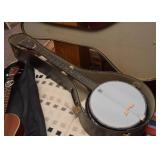 Remo Weather King Ridgeland Banjo