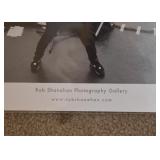 Photography by Rob Shanahan