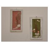 Seashell Artwork / Shadowboxes