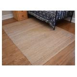 $75 - Neutral Area Rug with Silver Accents