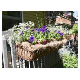 Iron Garden Planter (plants included)