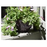 Eggplant-Colored Flower Pot (plants included)