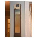 Long Narrow Wall Mirror with Bird Shadowbox at Top