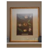 Gold Framed Botanical Art Print (Peaches)