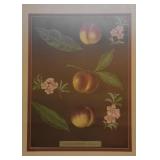 Gold Framed Botanical Art Print (Peaches)