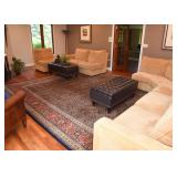 BUY IT NOW! $4,000 - Lovely Room-Size Persian Area Rug (approx. 18