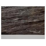 Framed Artwork / Photography, Signed by Artist