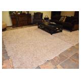 BUY IT NOW! $400 - Contemporary Shag Area Rug (approx. 15