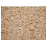 BUY IT NOW! $400 - Contemporary Shag Area Rug (approx. 15