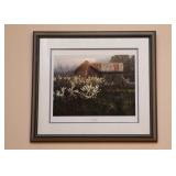 Framed Photography Artwork